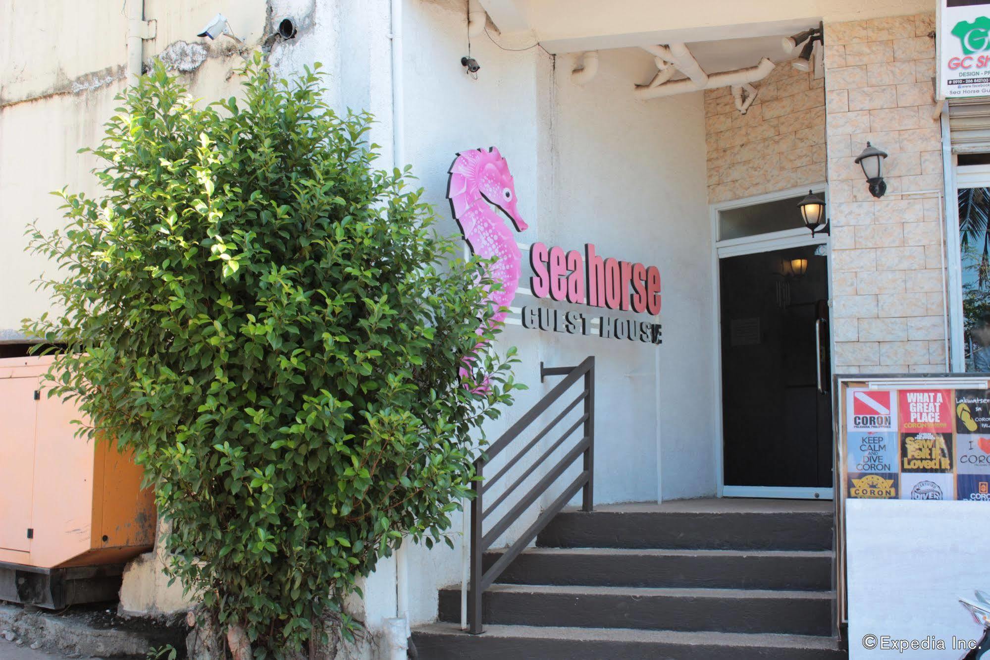 Sea Horse Guest House Đảo Đảo Coron Ngoại thất bức ảnh